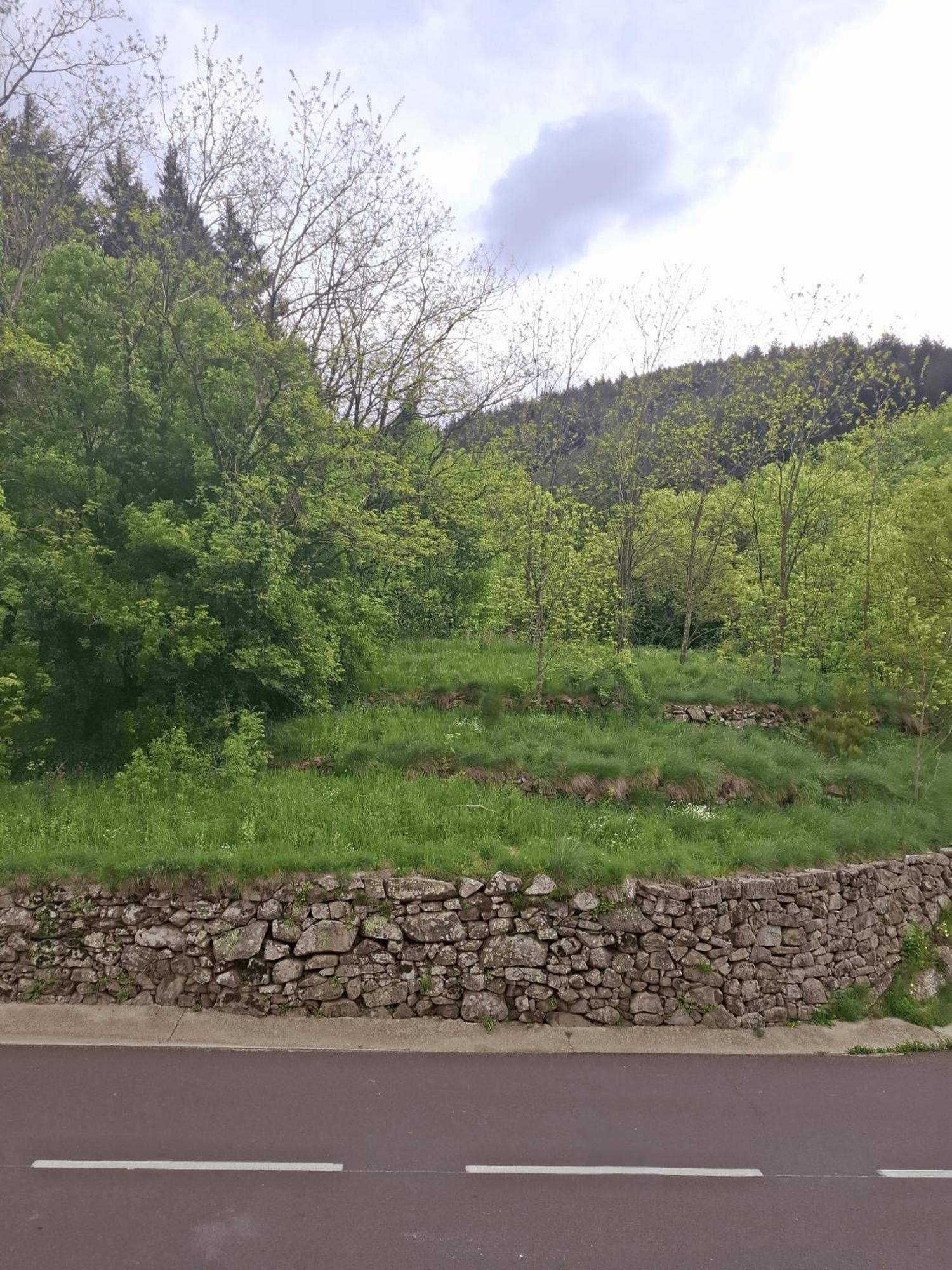 Auberge Arthea Laviolle Δωμάτιο φωτογραφία